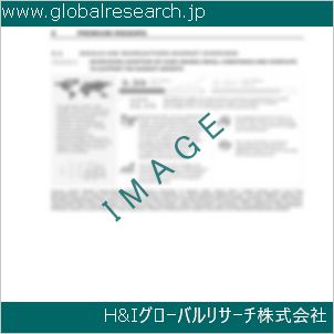 グローバルリサーチ調査資料のイメージ